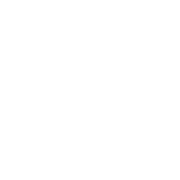 車の画像